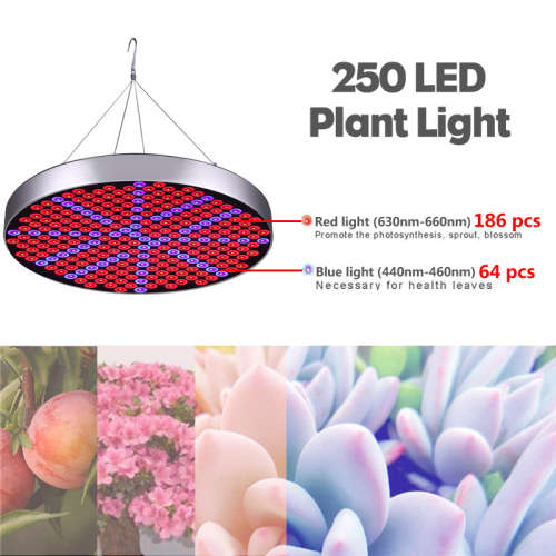 1200W 250LED Round Plant Growing Lamp Indoor Greenhouse Plant Grow Light