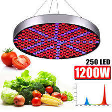 1200W 250LED Round Plant Growing Lamp Indoor Greenhouse Plant Grow Light