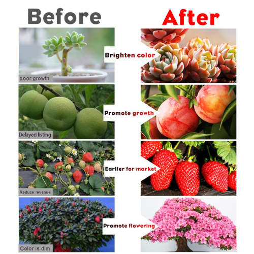 1200W 250LED Round Plant Growing Lamp Indoor Greenhouse Plant Grow Light