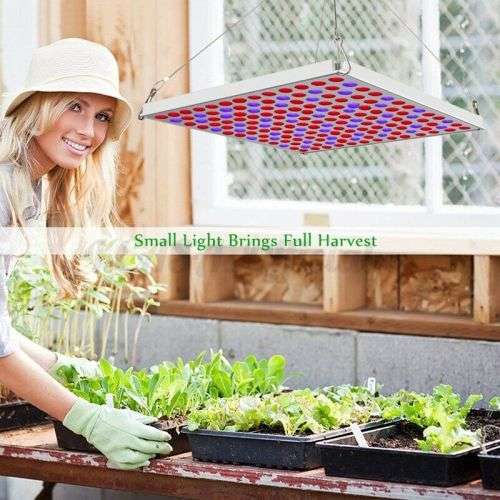 4000W 225 LED Grow Light Plant Hydroponic Full Spectrum Indoor Plant Flower - Need a UK adapter plug