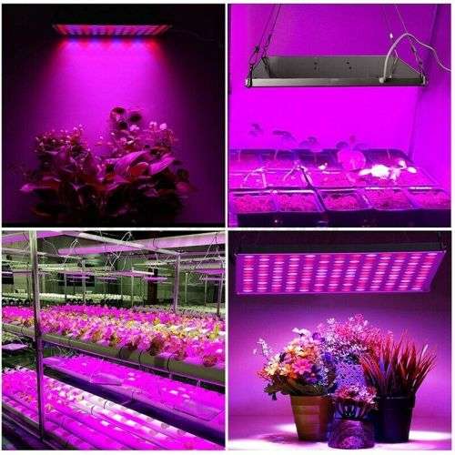 4000W 225 LED Grow Light Plant Hydroponic Full Spectrum Indoor Plant Flower - Need a UK adapter plug