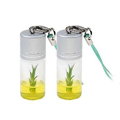 Real Growable Lucky Bamboo Plant In-a-Bottle Keychain (1-Pack)  #
