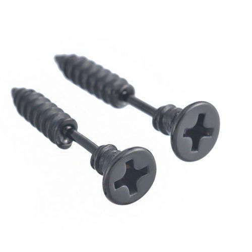 Punk Unisex 2 Pcs Steel Screw Earrings