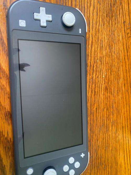 Nintendo Switch Lite(Digital games included)