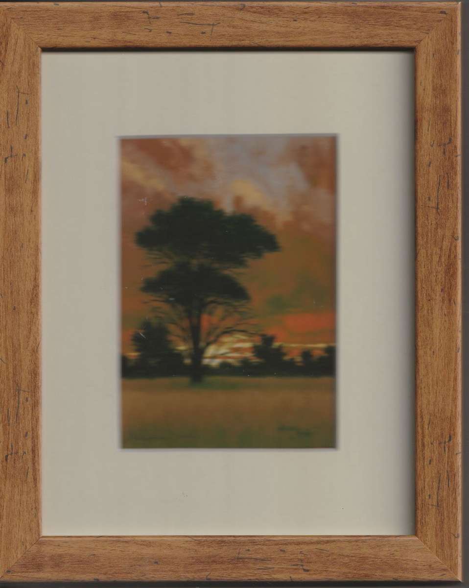 NEWLY FRAMED MALACHI SMITH PRINTS X 3