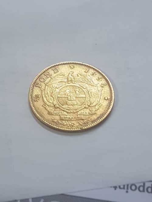 1894 ZAR GOLD HALFPOND