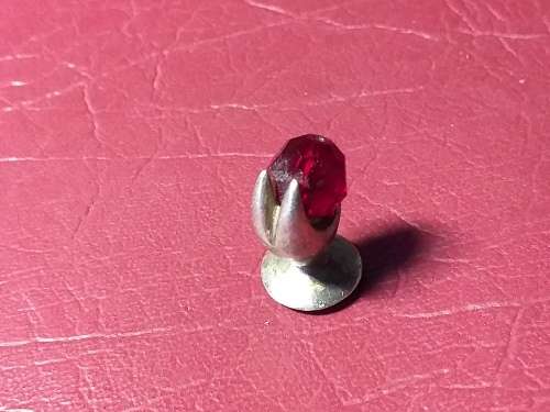 CRICKET DISPLAY FOR A PRINTERS TRAY