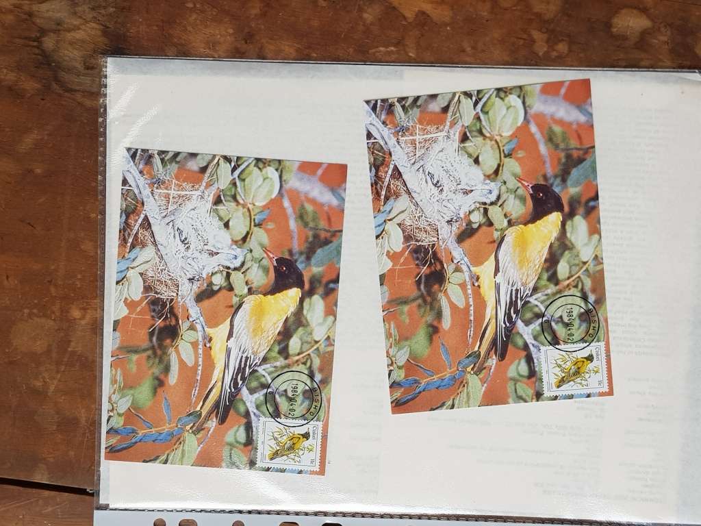 CISKEI FDC, POST CARDS - [ONE BID FOR ALL.]