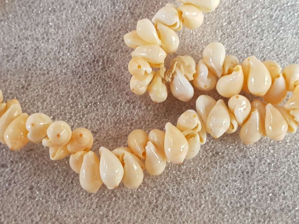 Lovely Genuine Shell Necklace in Very Good Condition