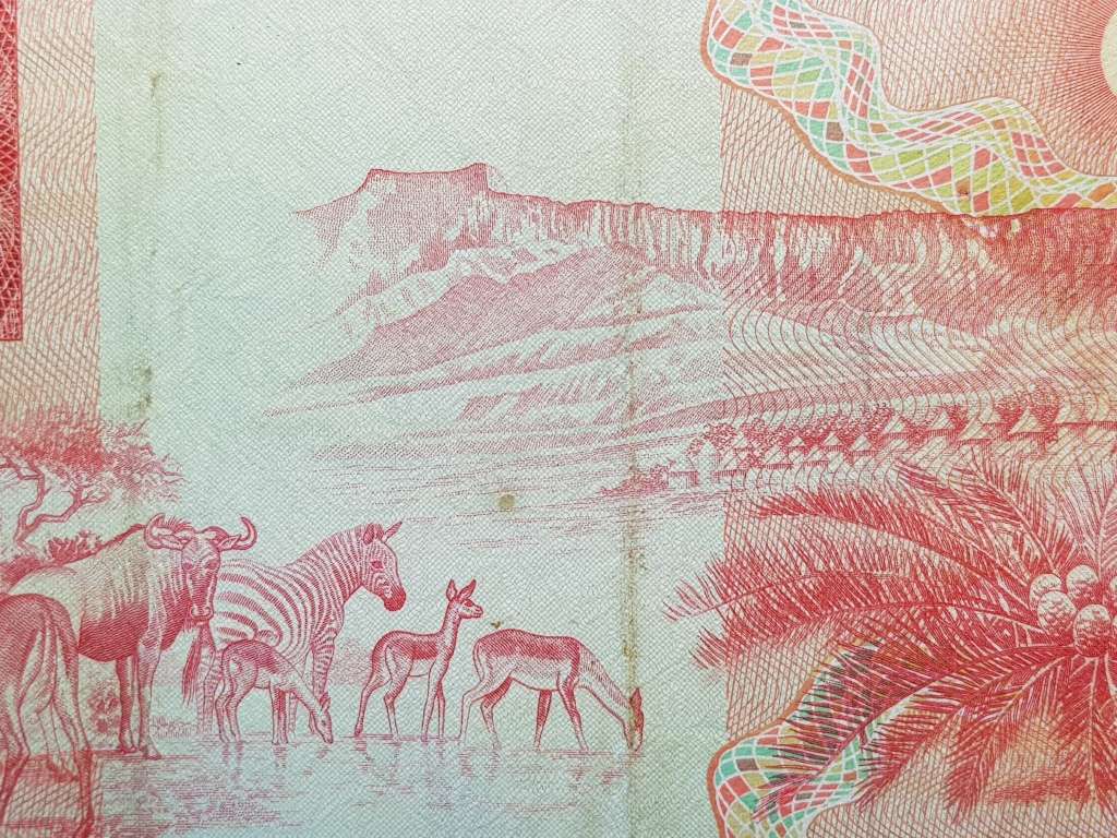 RSA R50 Note - Gerhard De Kock
