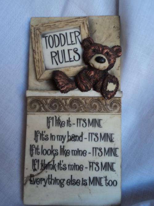 GORGEOUS "TODDLER RULES" TEDDY BEAR WALL PLAQUE!!!!
