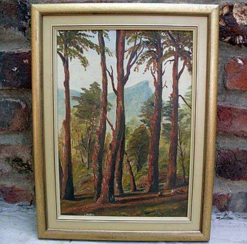 AN ORIGINAL OIL ON BOARD BY C PEERS - LOOKS LIKE KIRSTENBOSCH