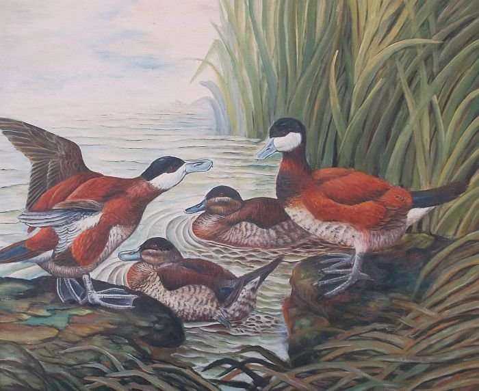 A BEAUTIFUL ORIGINAL OIL ON BOARD DEPICTING DUCKS AT A POND SIGNED BY THE ARTIST R. ALAN