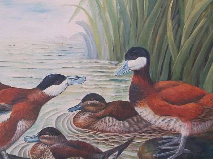 A BEAUTIFUL ORIGINAL OIL ON BOARD DEPICTING DUCKS AT A POND SIGNED BY THE ARTIST R. ALAN