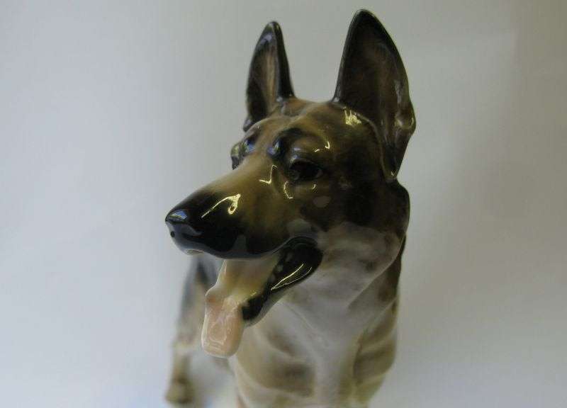 WOW !! WOW !! A SUPER RARE 1950`S LARGE GERMAN SHEPHERD FIGURE BY HUTSCHENREUTHER GERMANY !!! VALUE