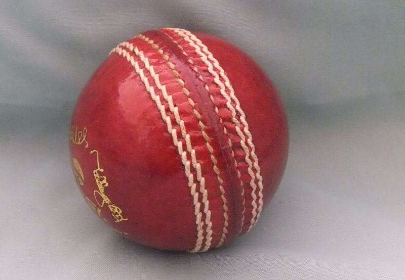 A COOL STANDARD SIZE CRICKET BALL WITH PEPSI ADVERTISING AND SIGNATURES - EXCELLENT CONDITION