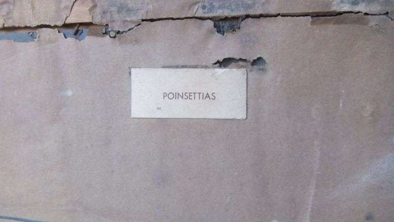 WOW ! A RARE AWESOME PRINT IN ORIGINAL VINTAGE FRAME ... POINSETTIAS BY TRETCHIKOFF !! GREAT FIND !!