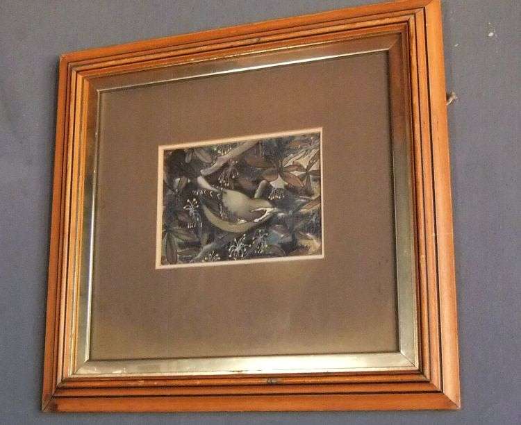 AN ORIGINAL ACRYLIC PAINTING OF A BIRD AMONG TREE TOP BRANCHES AND LEAVES SIGNED ANNE ...CHARMING !!