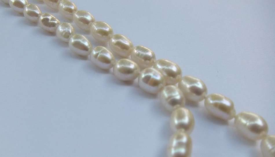 A CLASSY VINTAGE GENUINE CULTURED PEARL NECKLACE WITH A GOLD PLATED SILVER CLASP