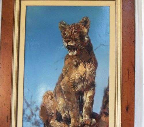 WOW !! WOW !! A MAGNIFICENT HUGE ORIGINAL OIL ON BOARD PAINTING OF A LION CUB !! WORTH THOUSANDS !!