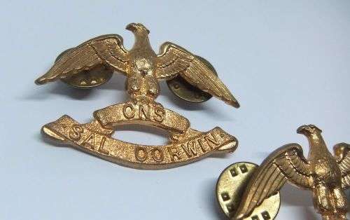 R1 START !!  A PAIR OF VINTAGE SANDF BADGES - REGIMENT WEST RAND !! FREE COMBINING !!