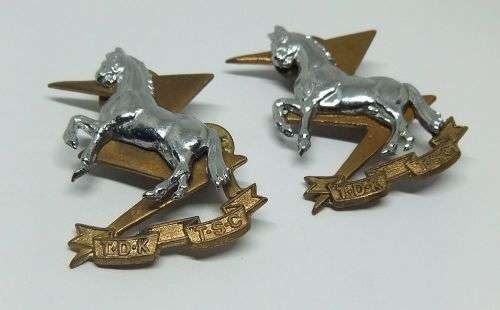 R1 START !!  A PAIR OF VINTAGE SANDF BADGES - TECHNICAL SERVICE CORPS !! FREE COMBINING !!