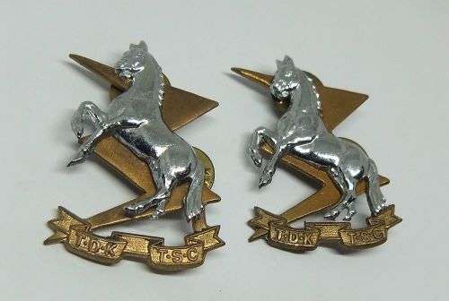 R1 START !!  A PAIR OF VINTAGE SANDF BADGES - TECHNICAL SERVICE CORPS !! FREE COMBINING !!