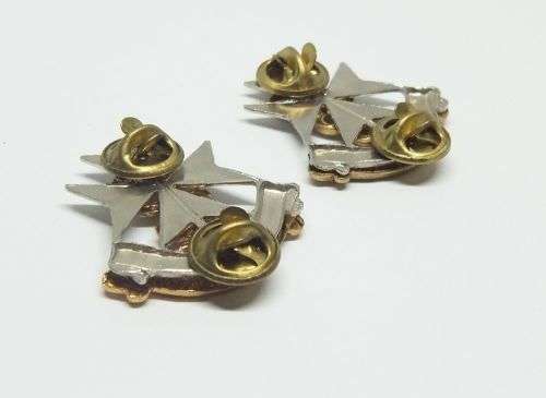 R1 START !!  A PAIR OF VINTAGE SANDF BADGES - MILITARY HEALTH SERVICES !! FREE COMBINING !!