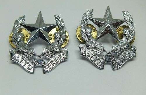 R1 START !! A PAIR OF VINTAGE SANDF BADGES - REGIMENT BOTHA !! FREE COMBINING !!