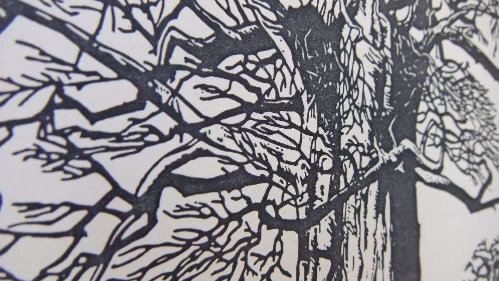 SUPER RARE !! A VINTAGE LINOCUT DEPICTING THE BAOBAB TREE BY FAMOUS SA ARTIST JH PIERNEEF !! WOW !!