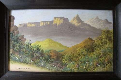 AWESOME WATERCOLOUR - REAL AFRICANA STYLE - SIGNED HANEKOM - FRAMED BEHIND GLASS - POSTAGE R80