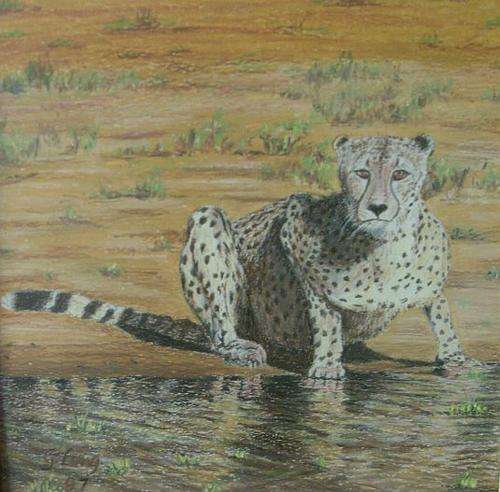 LEOPARD / CHEETAH BY G LANG - UNKNOWN MEDIUM - LOVELY FRAMED PIECE BEHIND GLASS - POSTAGE R50