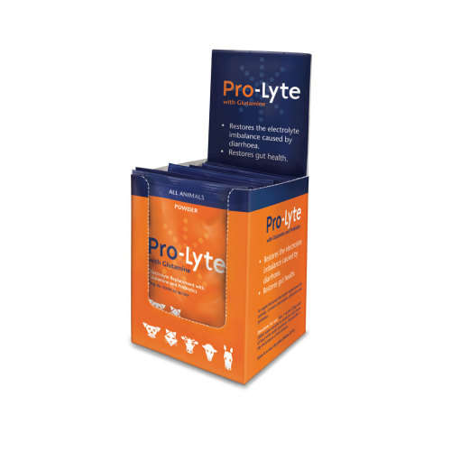 Pro-Lyte With Glutamine ( 10 sachets per box )
