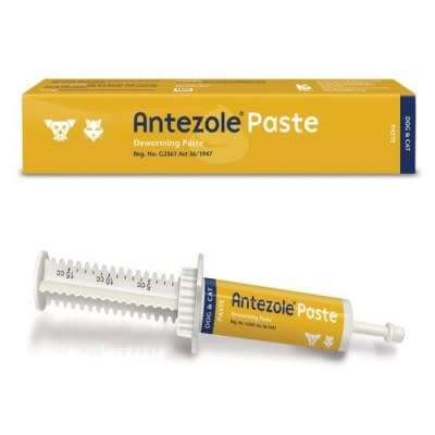 Antezole Deworming Paste for dogs and cats - 15ml
