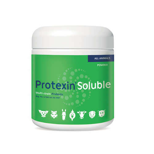 Protexin Soluble Probiotic for Dogs and Cats 250g - EXPIRY DATE NOVEMBER 2023