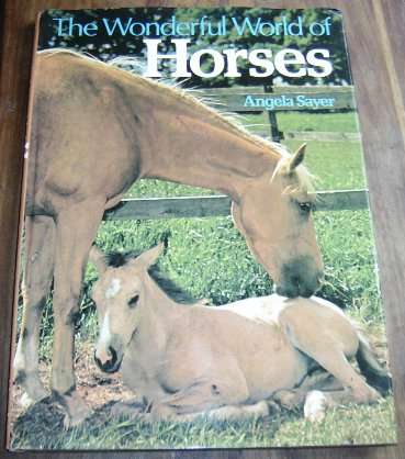 THE WONDERFUL WORLD OF HORSES - ANGELA SAYER