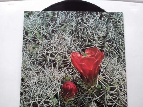 Eagles - Eagles  ( 1972 German released LP )