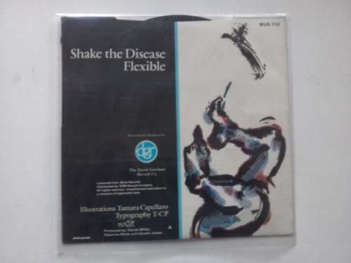 Depeche Mode  -  Shake the disease  ( 1985 SA released 7` , 45 RPM , single )