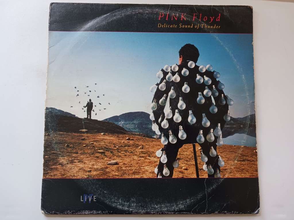 Pink Floyd - Delicate Sound Of Thunder  ( 1988 SA released 2x vinyl LP )