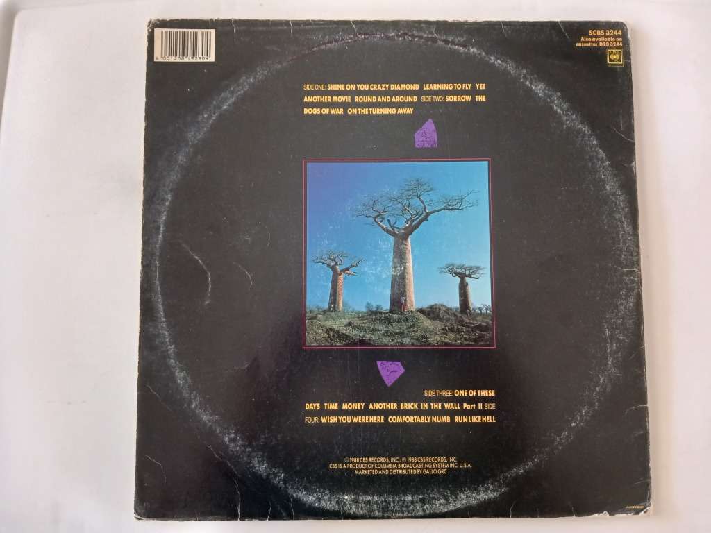 Pink Floyd - Delicate Sound Of Thunder  ( 1988 SA released 2x vinyl LP )