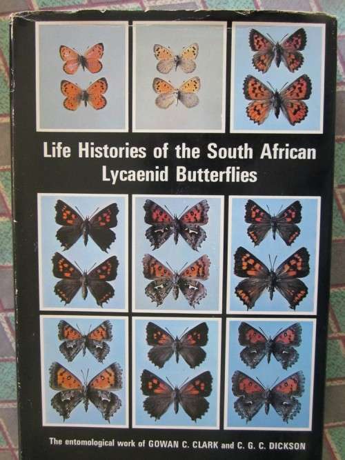 Life Histories of the South African Lycaenid Butterflies-Gowan C Clark