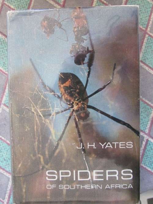 Spiders of Southern Africa -JH Yates