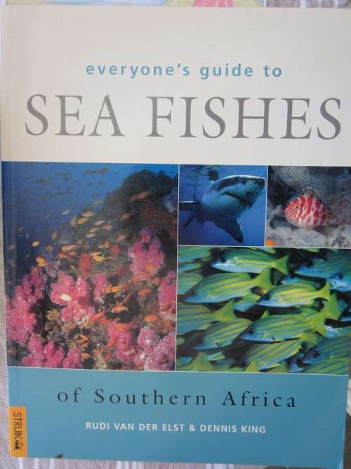 Everyone's Guide to Sea Fishes of Southern Africa- Rude van der Elst,Dennis King - Softcover