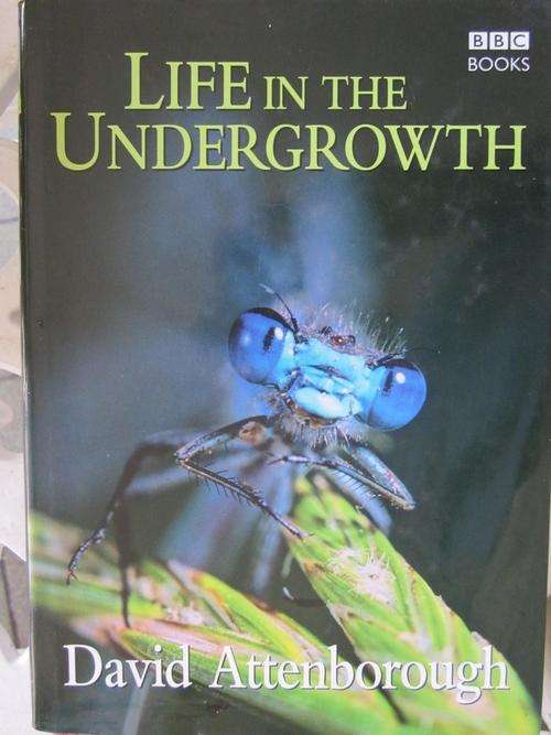Life in the Undergrowth -David Attenborough