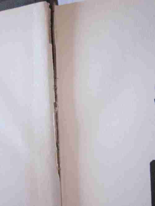 Stellenbosch 1679-1929-Houtsnee- Pierneef, Pentekeninge-AC Bouman