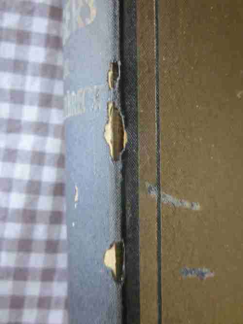 Thomas Francois Burgers- SP Engelbrecht- die hardeband is effe verweerd