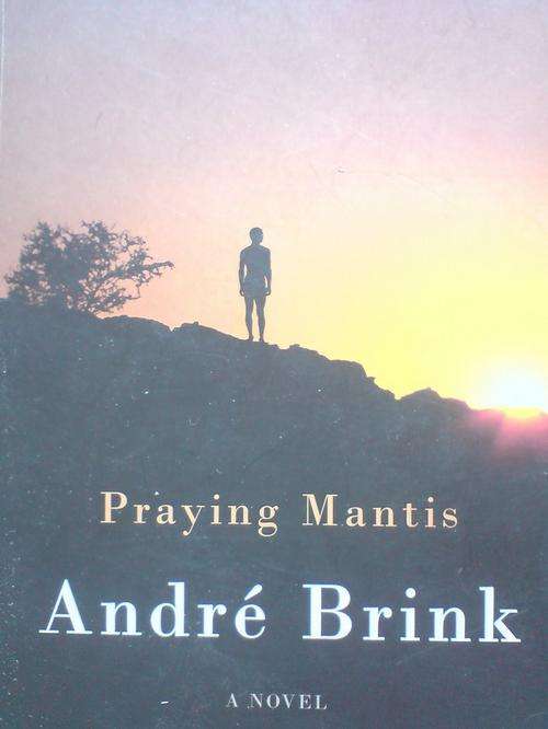 Praying mantis - Andre P Brink