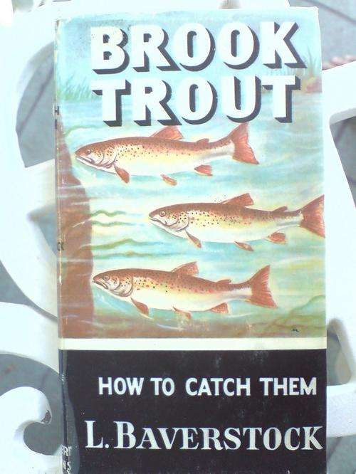 Brook Trout- how to catch them - L Baverstock