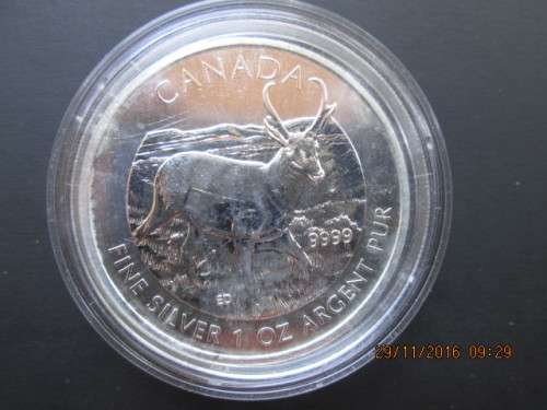 2013 CANADIAN 10Z SILVER UNC IN CAPSULE