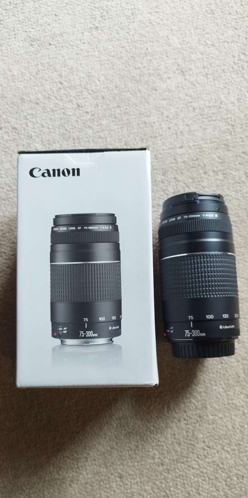 Canon M6 Mark II + 2 Canon Lens+ Canon Lens Adaptor